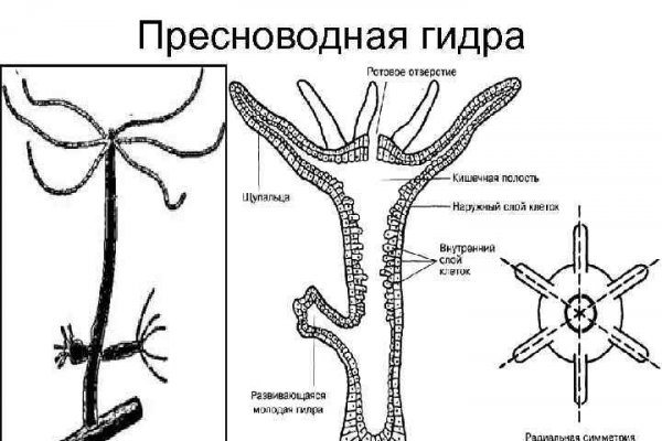 Кракен маркетплейс что продают