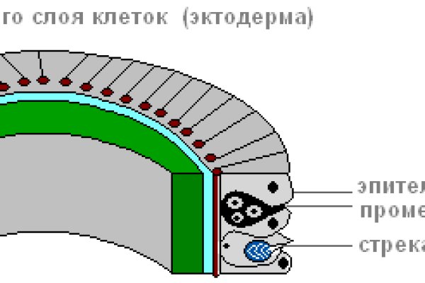 Кракен зеркало на сегодня