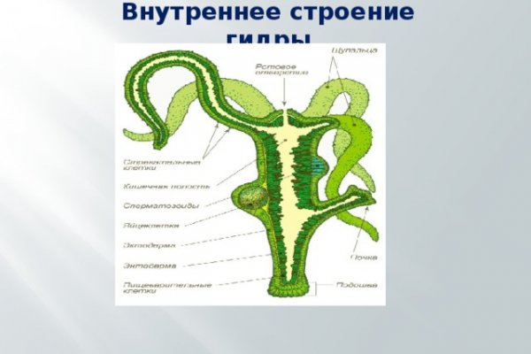 Ссылка на кракен через тор