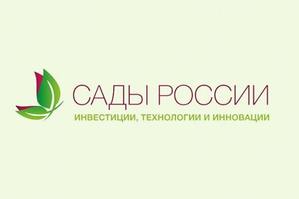 Кракен даркнет store kraken dark link